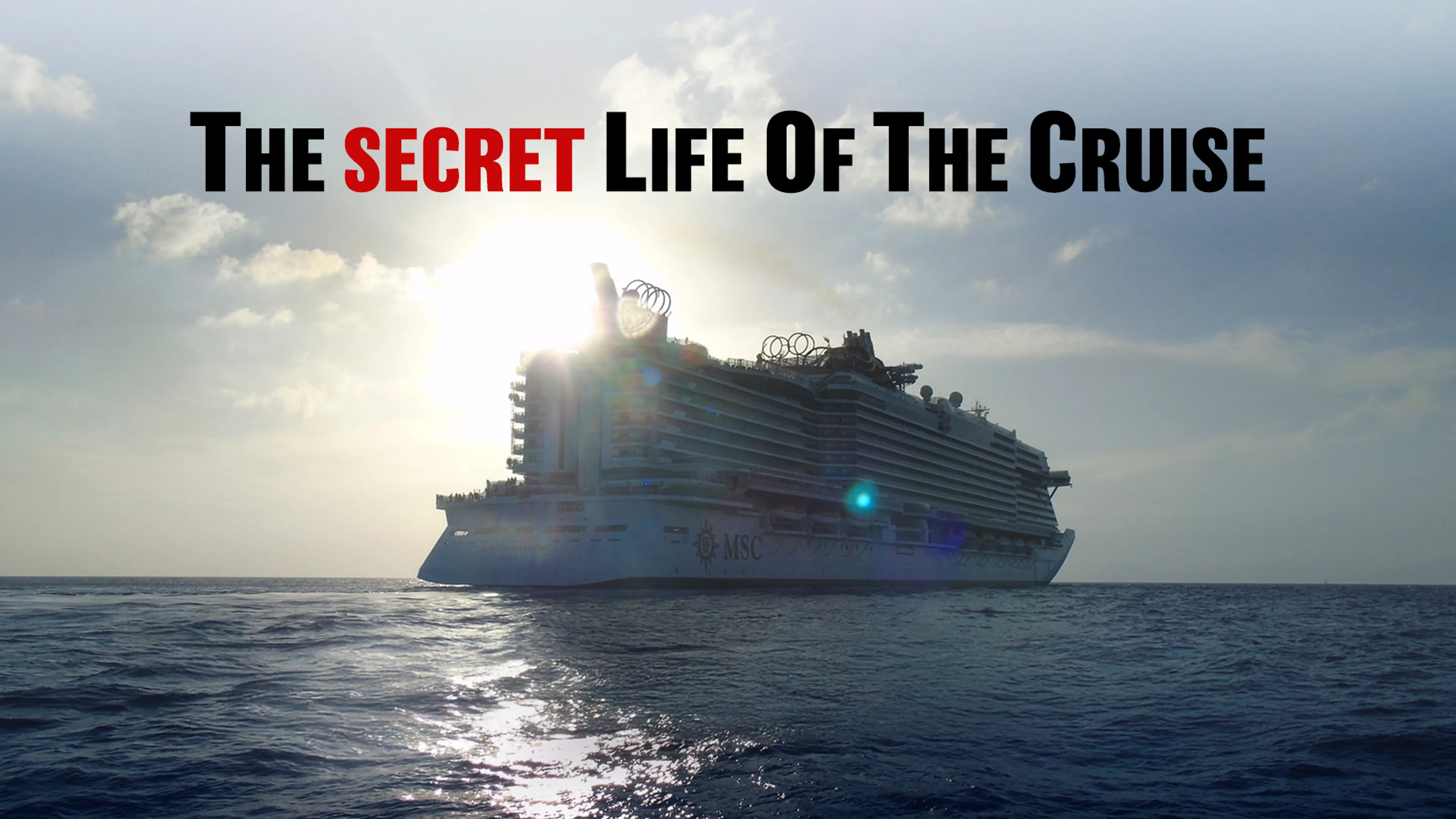 The Secret Life of the Cruise poster